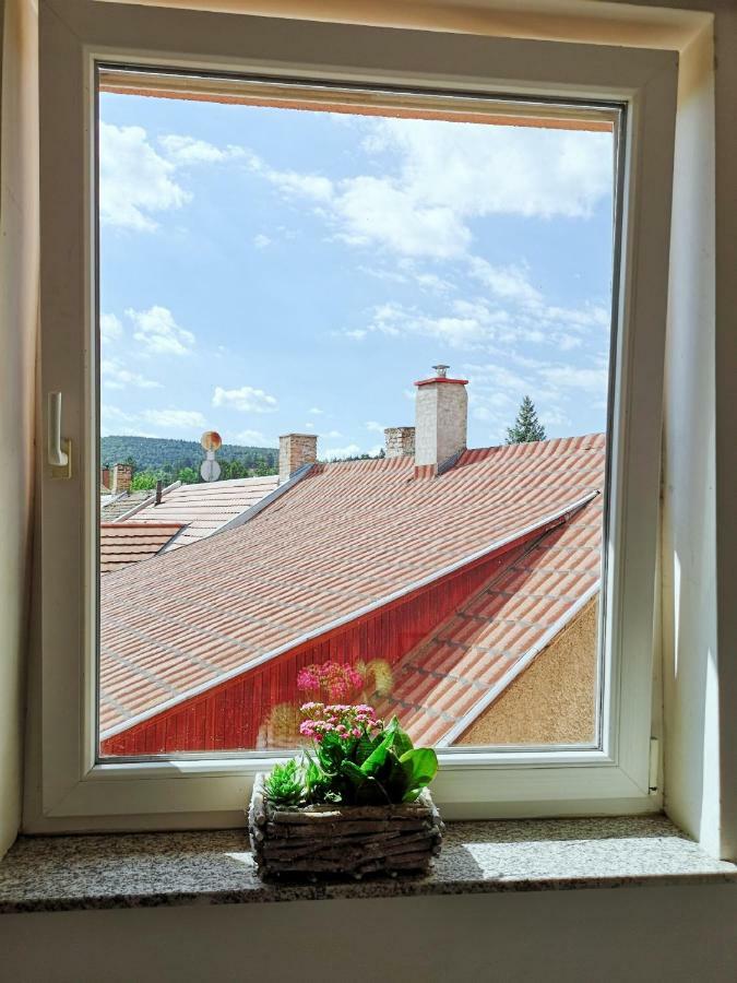 Hoke Lakas Apartment Sopron Bagian luar foto